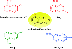 Graphical abstract: Efficient synthesis of novel disubstituted pyrido[3,4-b]pyrazines for the design of protein kinase inhibitors