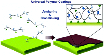 Graphical abstract: Universal polymer coatings and their representative biomedical applications