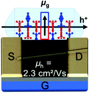 Graphical abstract: Single-crystal field-effect transistors of a highly dipolar merocyanine dye