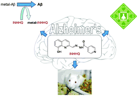 Graphical abstract: Disruption of zinc and copper interactions with Aβ(1–40) by a non-toxic, isoniazid-derived, hydrazone: a novel biometal homeostasis restoring agent in Alzheimer's disease therapy?