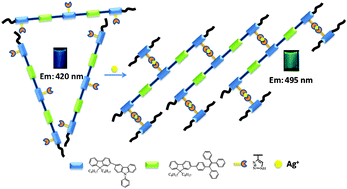 Graphical abstract: N-Unsubstituted-1,2,3-triazole-tethered, AIEE type conjugated polymer as a ratiometric fluorescence probe for silver ions
