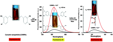 Graphical abstract: A highly selective and sensitive single click novel fluorescent off–on sensor for copper and sulfide ions detection directly in aqueous solution using curcumin nanoparticles