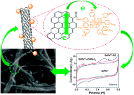 Graphical abstract: Construction and electronic properties of carbon nanotube hybrids with conjugated cubic silsesquioxane