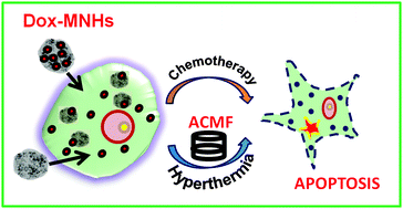 Graphical abstract: In-vitro evaluation of layered double hydroxide–Fe3O4 magnetic nanohybrids for thermo-chemotherapy