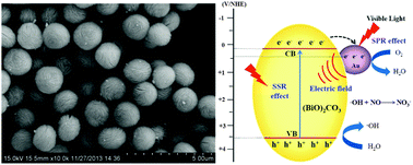 Graphical abstract: In situ growth of Au nanoparticles on 3D Bi2O2CO3 for surface plasmon enhanced visible light photocatalysis