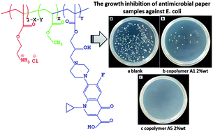 Graphical abstract: Amphiphilic cationic copolymers with ciprofloxacin: preparation and antimicrobial activities