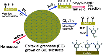 Graphical abstract: Halogenation of epitaxial graphene grown on the Si-face of the SiC(0001) substrate and its further reaction with Grignard reagent