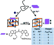 Graphical abstract: A colorimetric and fluorometric dual-modal DNA logic gate based on the response of a cyanine dye supramolecule to G-quadruplexes