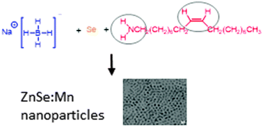Graphical abstract: On the influence of coordinating solvents on the reduction of selenium for the phosphine-free synthesis of metal selenide nanoparticles