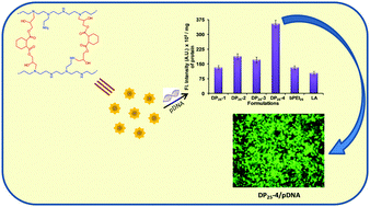 Graphical abstract: Synthesis, characterization and evaluation of diglycidyl-1,2-cyclohexanedicarboxylate crosslinked polyethylenimine nanoparticles as efficient carriers of DNA