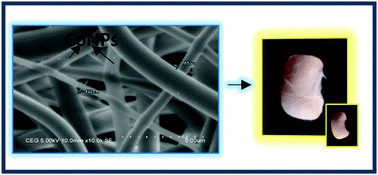 Graphical abstract: Environment friendly synthesis of polyvinylpyrrolidone nanofibers and their potential use as seed coats