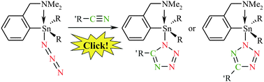Graphical abstract: C,N-Chelated organotin(iv) azides: synthesis, structure and use within click chemistry