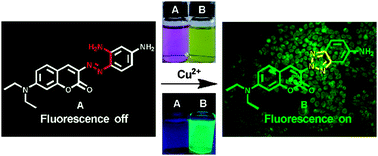 Graphical abstract: A “turn-on” fluorescent probe for the detection of Cu2+ in living cells based on a signaling mechanism of N [[double bond, length as m-dash]] N isomerization