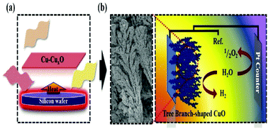 Graphical abstract: Tree branch-shaped cupric oxide for highly effective photoelectrochemical water reduction