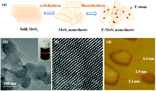 Graphical abstract: Tunable ferromagnetic ordering in MoS2 nanosheets with fluorine adsorption