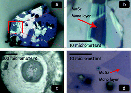 Graphical abstract: Pressure confinement effect in MoS2 monolayers