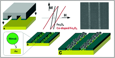 Graphical abstract: Taking a hard line with biotemplating: cobalt-doped magnetite magnetic nanoparticle arrays