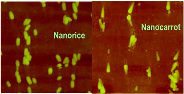 Graphical abstract: Anisotropic optical properties of oriented silver nanorice and nanocarrots in stretched polymer films