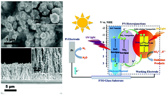 Graphical abstract: Functionalized ZnO@TiO2 nanorod array film loaded with ZnIn0.25Cu0.02S1.395 solid-solution: synthesis, characterization and enhanced visible light driven water splitting