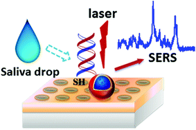 Graphical abstract: A gold nanohole array based surface-enhanced Raman scattering biosensor for detection of silver(i) and mercury(ii) in human saliva
