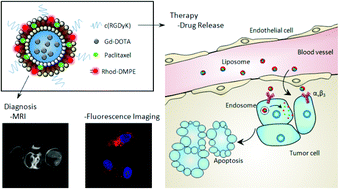 Graphical abstract: MRI-visible liposome nanovehicles for potential tumor-targeted delivery of multimodal therapies