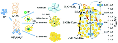 Graphical abstract: In situ crystallization for fabrication of a core–satellite structured BiOBr–CdS heterostructure with excellent visible-light-responsive photoreactivity