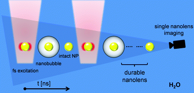 Graphical abstract: Dynamic imaging of a single gold nanoparticle in liquid irradiated by off-resonance femtosecond laser