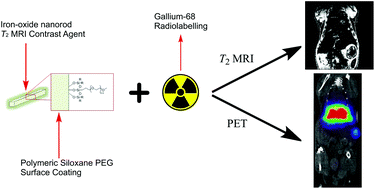 Graphical abstract: Chelator free gallium-68 radiolabelling of silica coated iron oxide nanorods via surface interactions