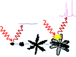Graphical abstract: Hollow Au/Ag nanostars displaying broad plasmonic resonance and high surface-enhanced Raman sensitivity