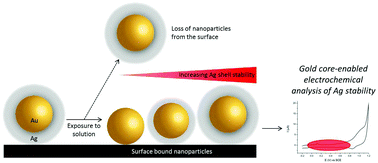 Graphical abstract: The fate of nano-silver in aqueous media