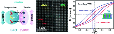Graphical abstract: Strong perpendicular exchange bias in epitaxial La0.7Sr0.3MnO3:BiFeO3 nanocomposite films through vertical interfacial coupling