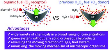 Graphical abstract: Micromotors working in water through artificial aerobic metabolism