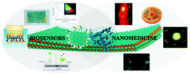 Graphical abstract: Graphene-like two-dimensional layered nanomaterials: applications in biosensors and nanomedicine