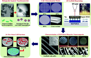 Graphical abstract: Integrating biologically inspired nanomaterials and table-top stereolithography for 3D printed biomimetic osteochondral scaffolds