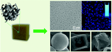 Graphical abstract: Synthesis of nitrogen-doped carbon nanostructures from polyurethane sponge for bioimaging and catalysis