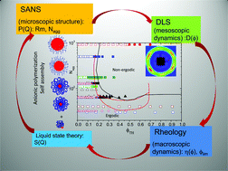 Graphical abstract: Dynamic phase diagram of soft nanocolloids
