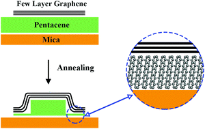 Graphical abstract: A pentacene monolayer trapped between graphene and a substrate