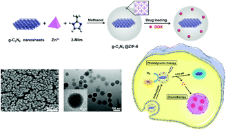 Graphical abstract: Graphitic carbon nitride nanosheet@metal–organic framework core–shell nanoparticles for photo-chemo combination therapy