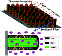 Graphical abstract: Co(OH)2/RGO/NiO sandwich-structured nanotube arrays with special surface and synergistic effects as high-performance positive electrodes for asymmetric supercapacitors