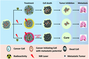 Graphical abstract: Retracted Article: Radio-photothermal therapy mediated by a single compartment nanoplatform depletes tumor initiating cells and reduces lung metastasis in the orthotopic 4T1 breast tumor model
