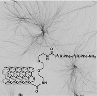 Graphical abstract: Self-assembly of diphenylalanine backbone homologues and their combination with functionalized carbon nanotubes