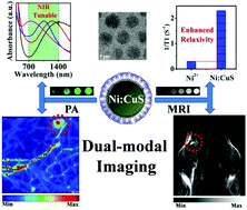 Graphical abstract: Compact chelator-free Ni-integrated CuS nanoparticles with tunable near-infrared absorption and enhanced relaxivity for in vivo dual-modal photoacoustic/MR imaging