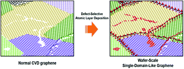 Graphical abstract: Wafer-scale single-domain-like graphene by defect-selective atomic layer deposition of hexagonal ZnO