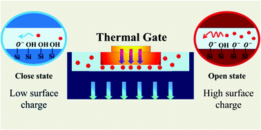 Graphical abstract: Thermal control of ionic transport and fluid flow in nanofluidic channels