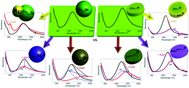 Graphical abstract: Tuning the LSPR in copper chalcogenide nanoparticles by cation intercalation, cation exchange and metal growth