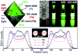 Graphical abstract: Direct observation of the core/double-shell architecture of intense dual-mode luminescent tetragonal bipyramidal nanophosphors