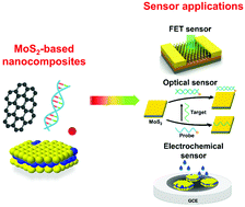 Graphical abstract: Synthesis and sensor applications of MoS2-based nanocomposites
