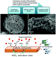Graphical abstract: Rational design of hierarchically-structured CuBi2O4 composites by deliberate manipulation of the nucleation and growth kinetics of CuBi2O4 for environmental applications