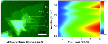 Graphical abstract: Optical identification of layered MoS2via the characteristic matrix method