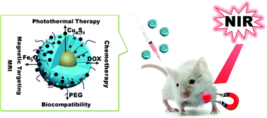 Graphical abstract: Magnetically targeted delivery of DOX loaded Cu9S5@mSiO2@Fe3O4-PEG nanocomposites for combined MR imaging and chemo/photothermal synergistic therapy